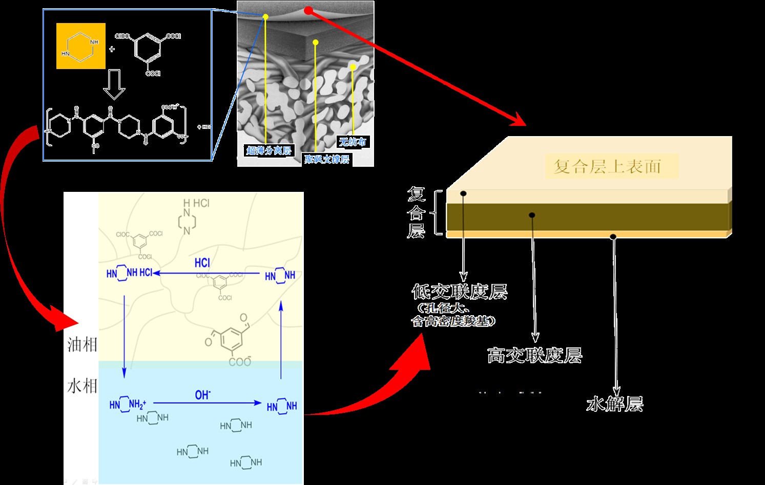 黄酮类原料药-2.jpg 黄酮类原料药-2.jpg