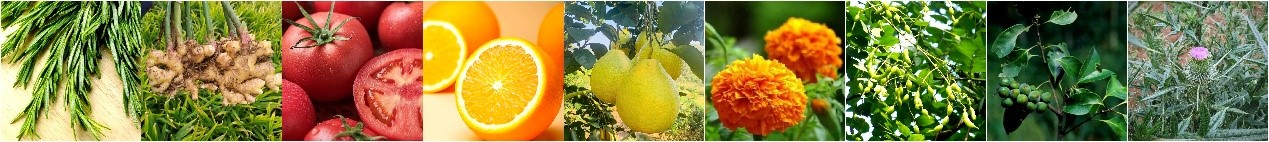 膜技术革新食品添加剂-1.jpg 膜技术革新食品添加剂-1.jpg