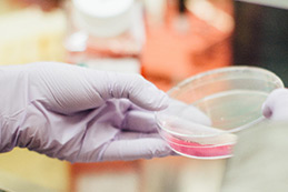 功能性及食品添加剂